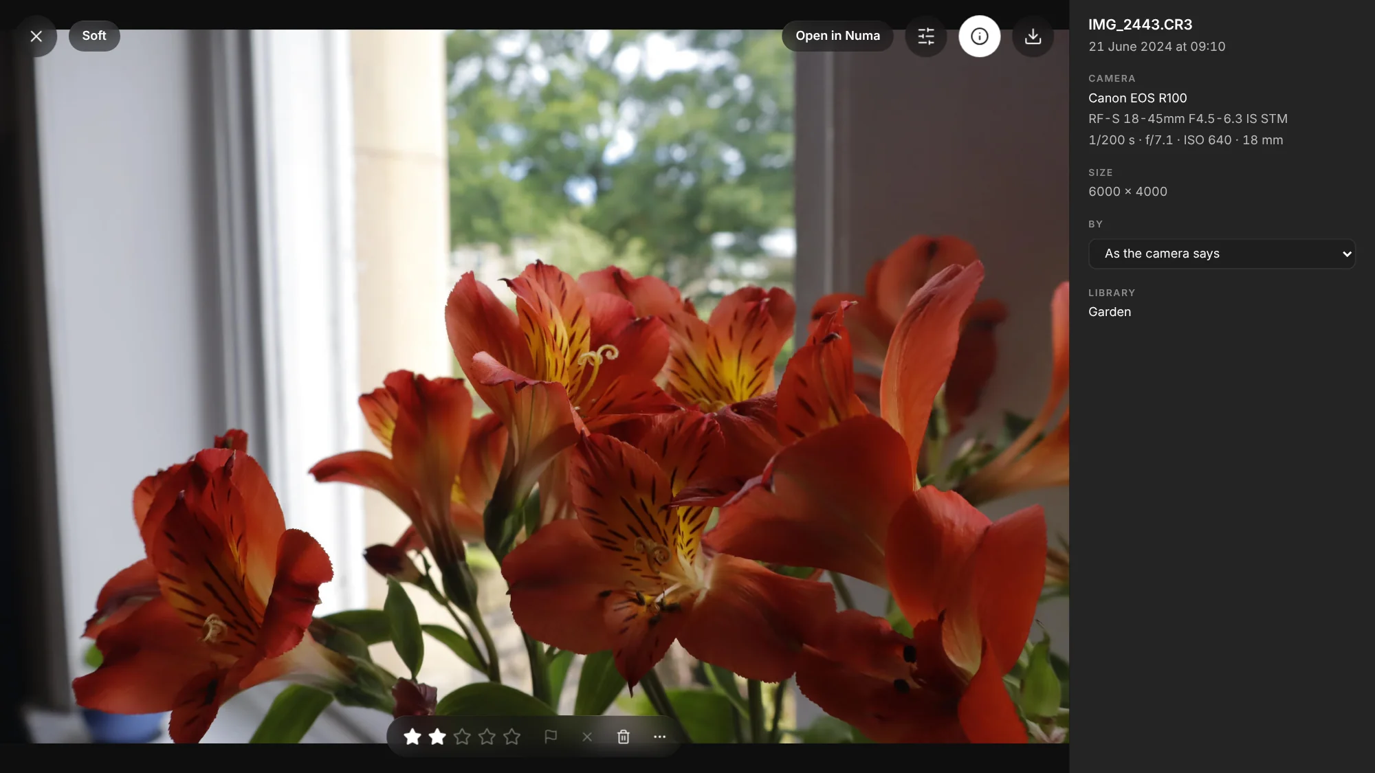 A photograph in Numa Home with the Soft pill at its top left, Open in Numa, Edit, the info button and Download at the top, and the stars, Pick, Reject, the bin and more at its foot; beside it the name, date, camera, size, By and the library