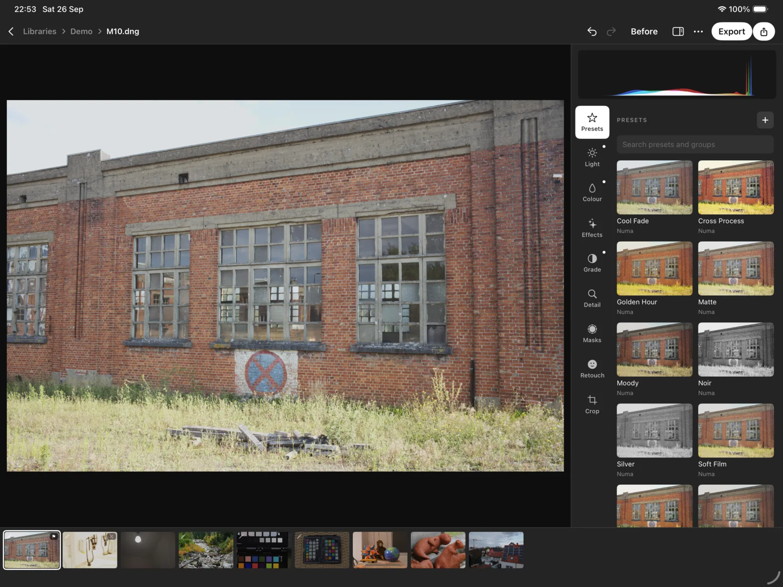 The iPad's classic editor with Looks open: presets as cards of the photograph