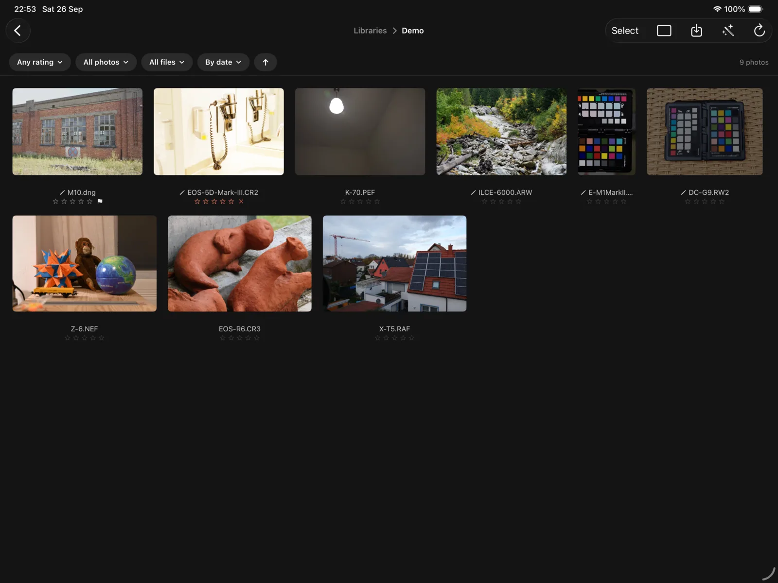 A library on the iPad: the grid with its filter bar