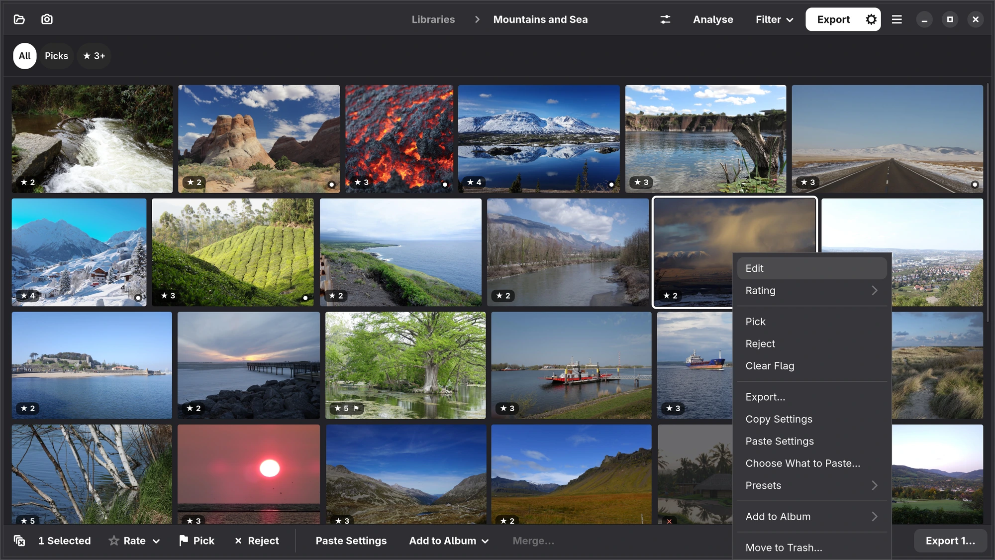 The right-click menu on a photograph in the grid