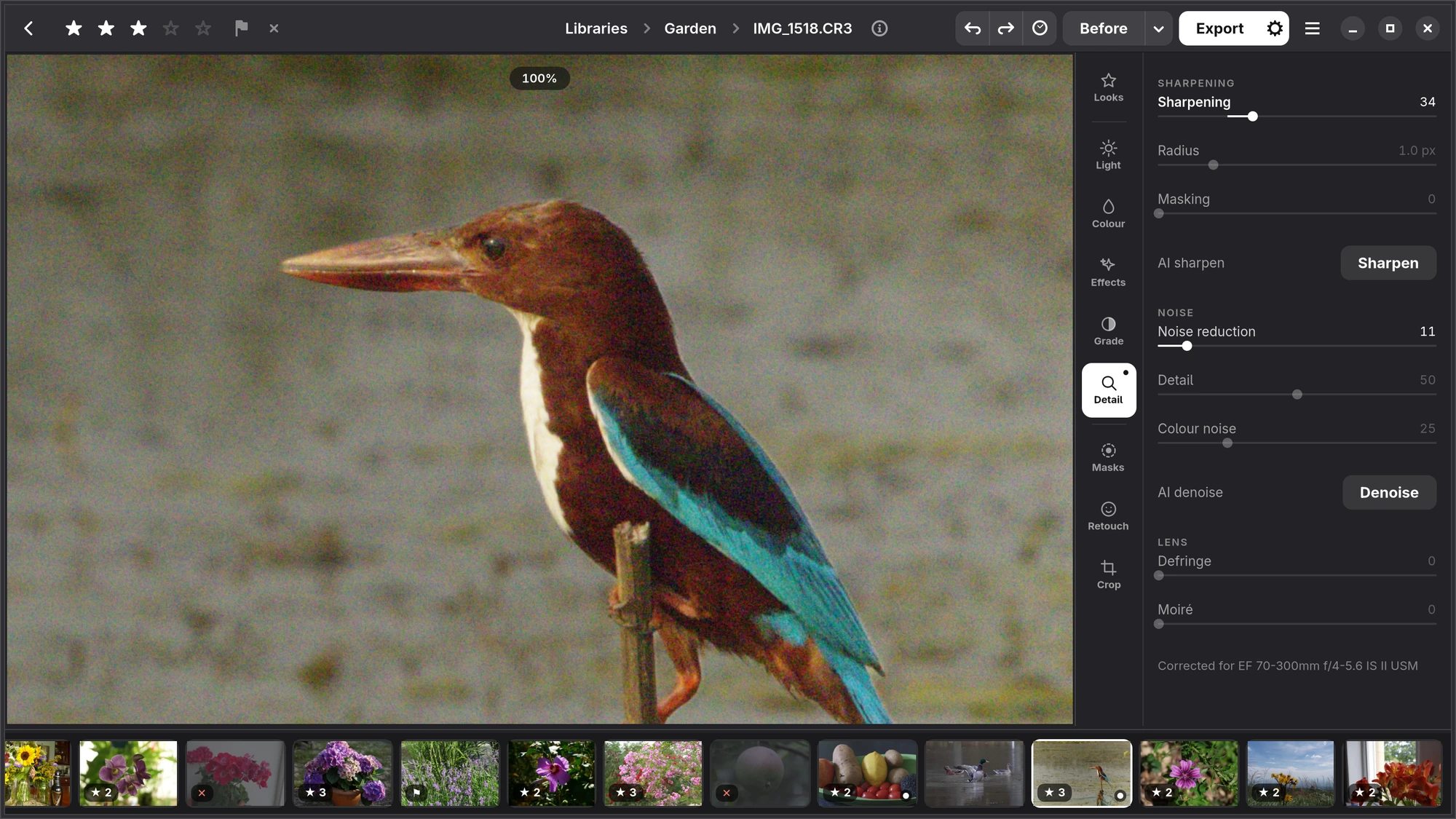 The Detail tab at 1:1 on a kingfisher: Sharpening, Noise with AI denoise, and Lens