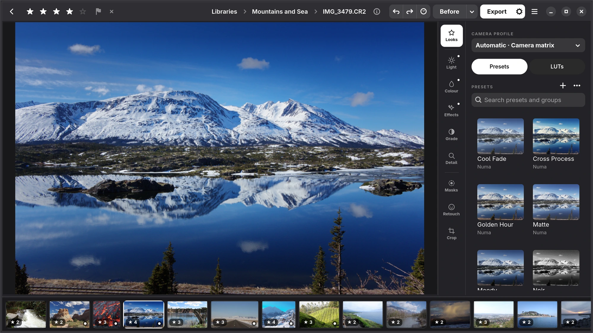 The Looks tab: the camera profile at the top, Presets and LUTs, the PRESETS label with + and ⋯, and presets as small versions of the open photograph