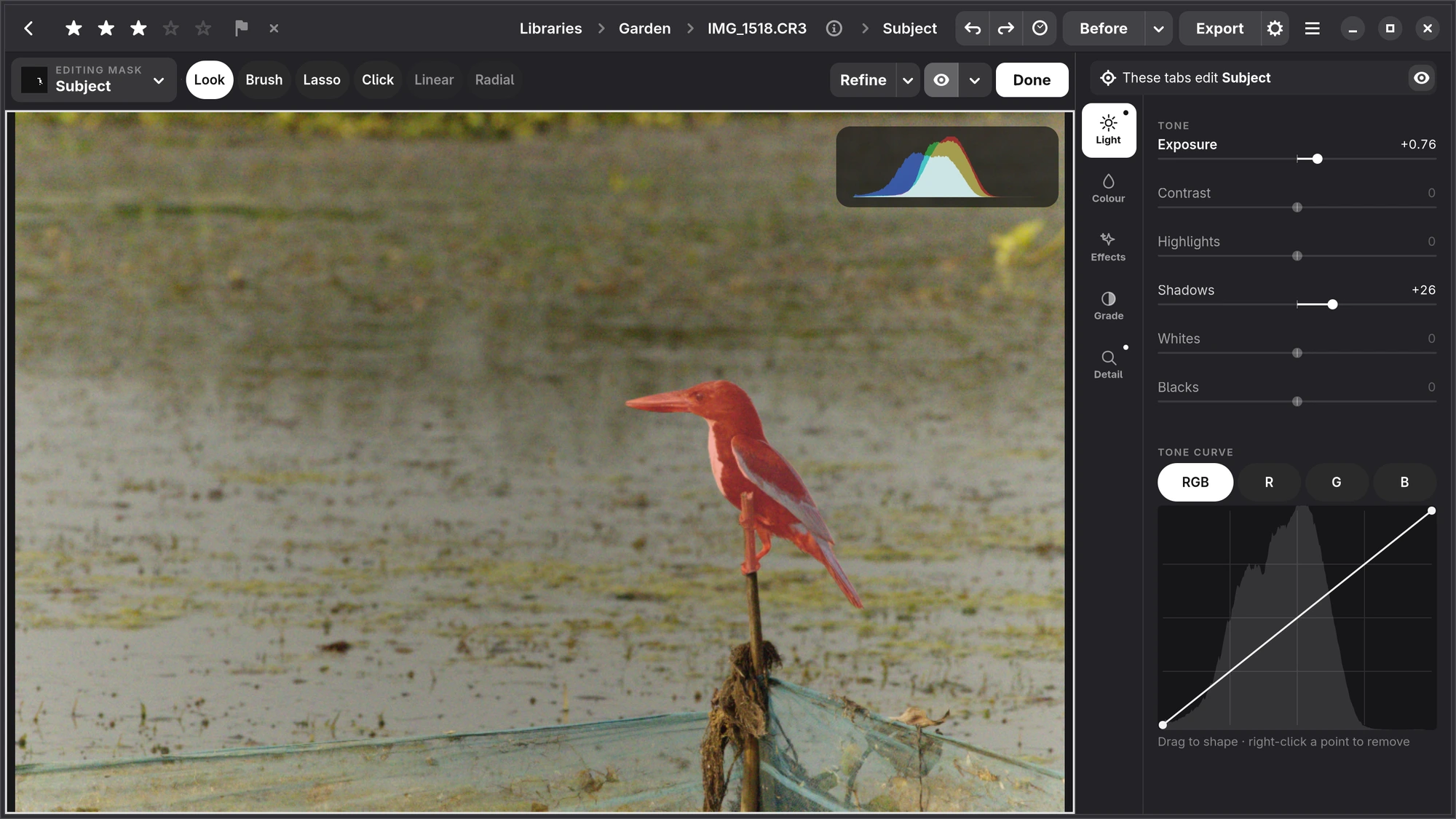 A kingfisher with its Subject mask chosen and washed red, the mask bar at the top with EDITING MASK Subject, Look, Brush, Lasso and Click, Refine, the eye and Done, and the panel reading These tabs edit Subject, Exposure +0.76, Shadows +26